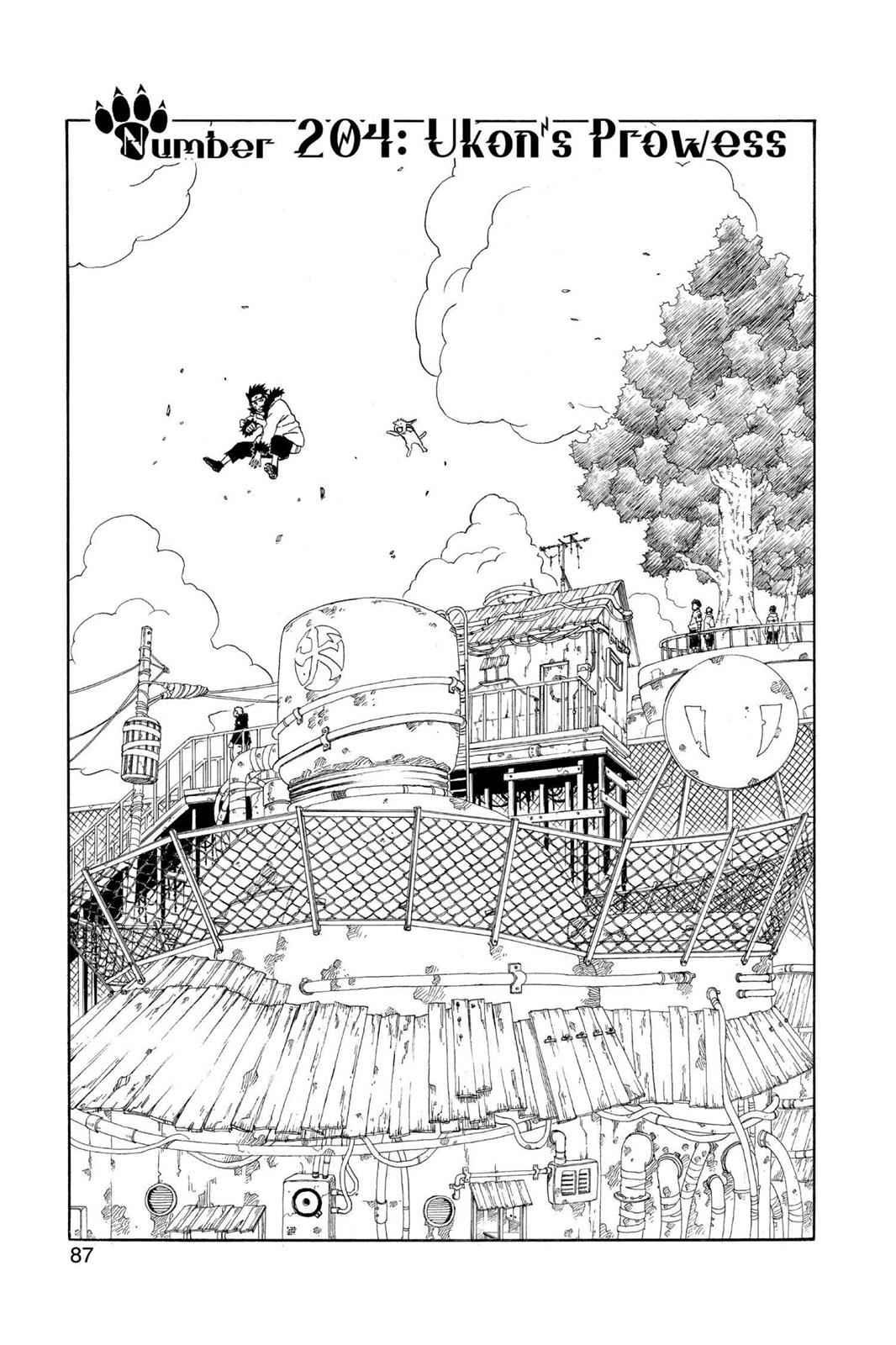 chapter204